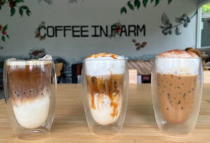 Coffee in farm
