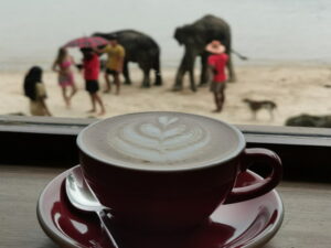 Blue Harbour Coffee 13
