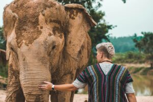 Ethical Elephant Sanctuaries in Phuket